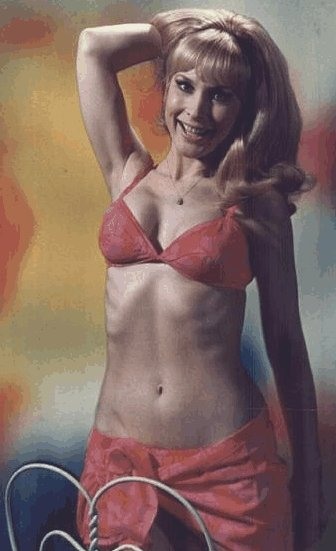 Barbara Eden seins nus 95