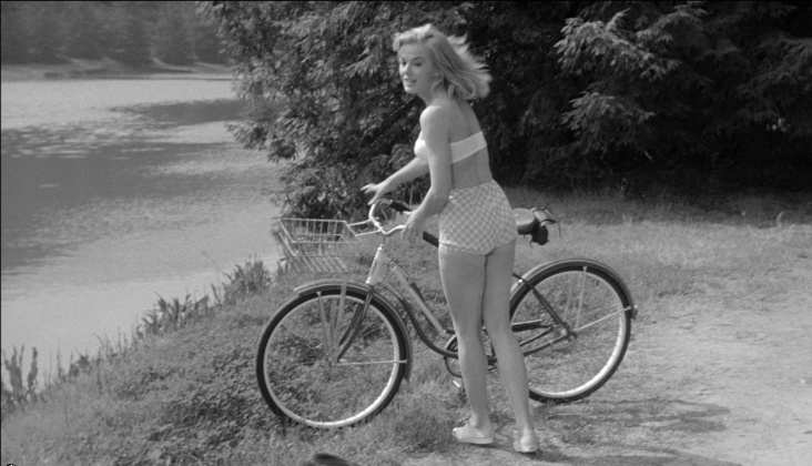 Leslie Parrish culottes 85