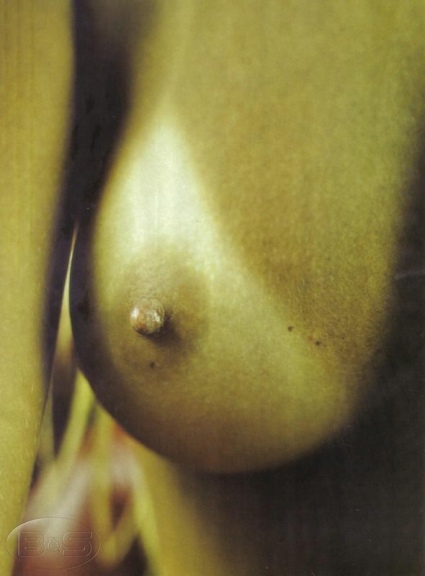 Vivi Fernandez seins 51